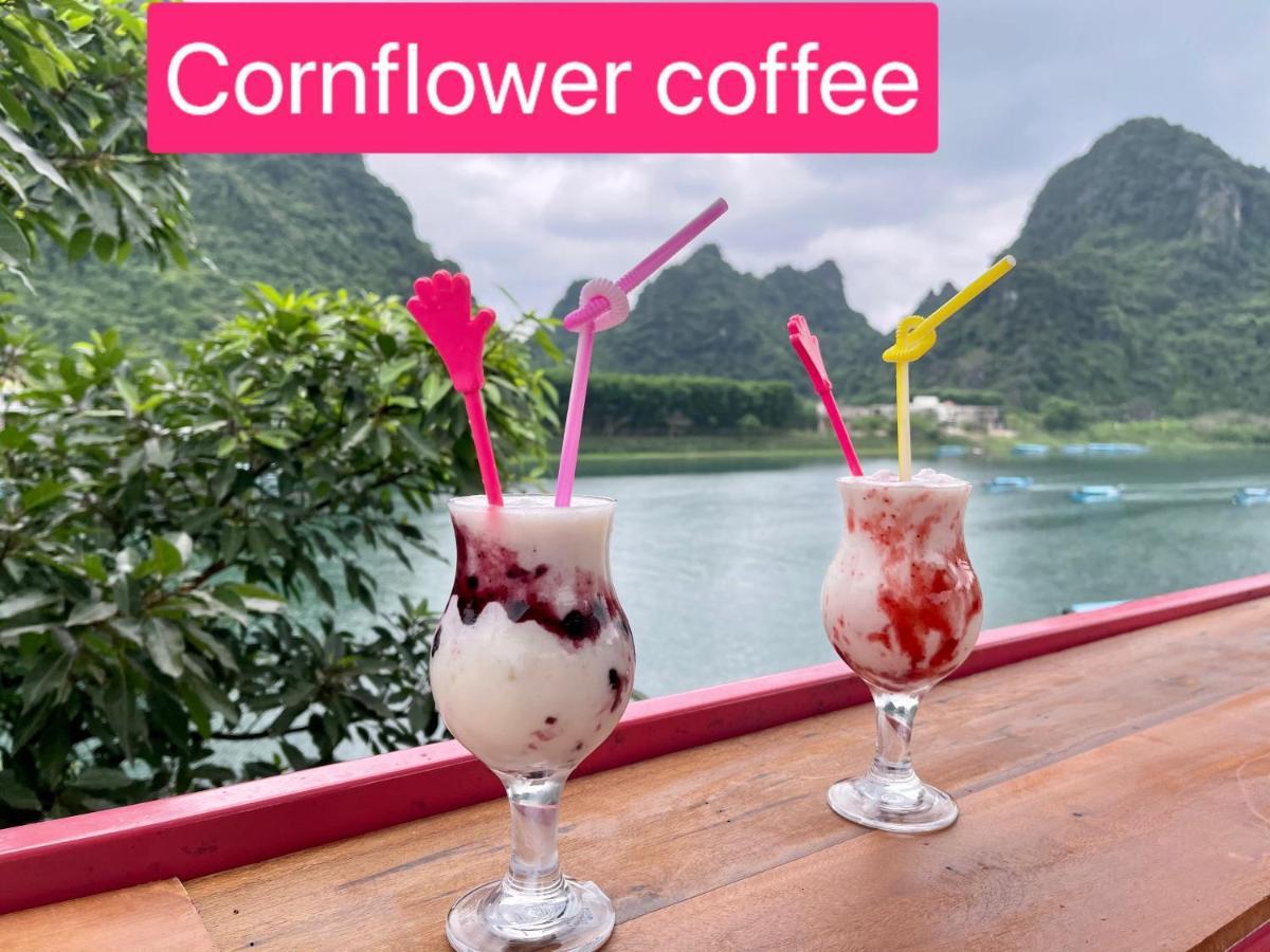 Cornflower Homestay Phong Nha Kültér fotó